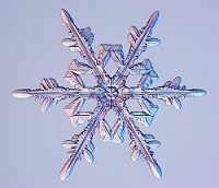 snowflake caltech